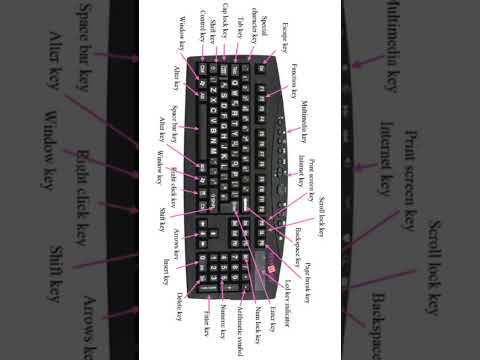 All Functions Of Keyboard Keys | KeyBoard Details #shorts #computer #keyboard