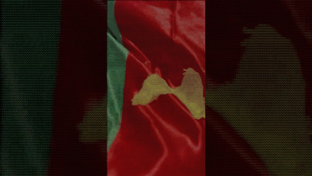 Cameroon Beats Gambia 3-2 in AFCON 2023 π