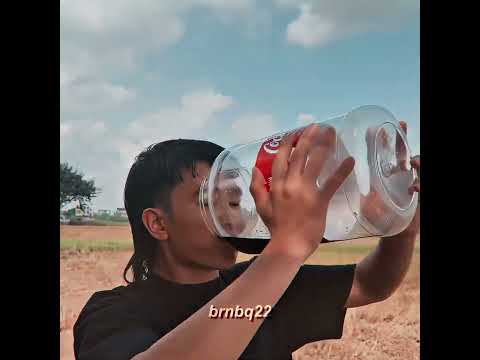 PHD Và Những Chai Coca Thần Kì