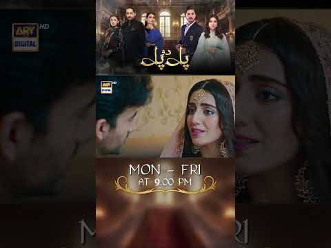 #PalDoPal Upcoming Episode 65 | #JunaidJamshaidNiazi | #TubaAnwar | #shorts
