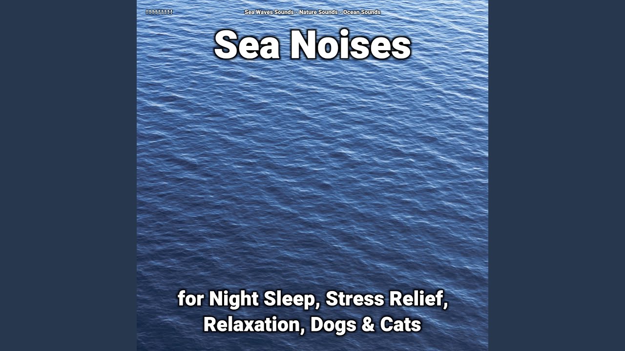 Perfect Mind: Ocean & Nature Sounds 🌊