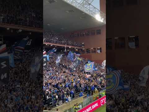 Sampdoria Mantova 1-0 27/10/2024 #football #gradinatasud #sampdoria #serieb