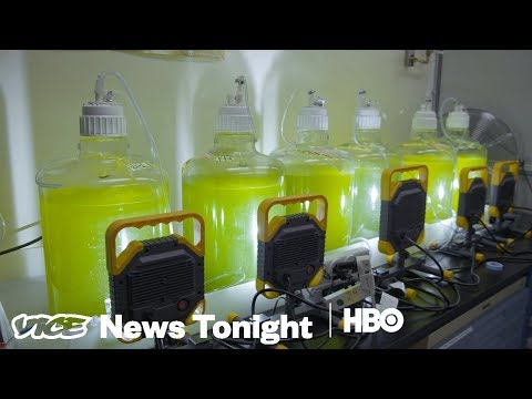 Algae For Energy & The Priest Of Blockchain: VICE News Tonight Full Episode (HBO)