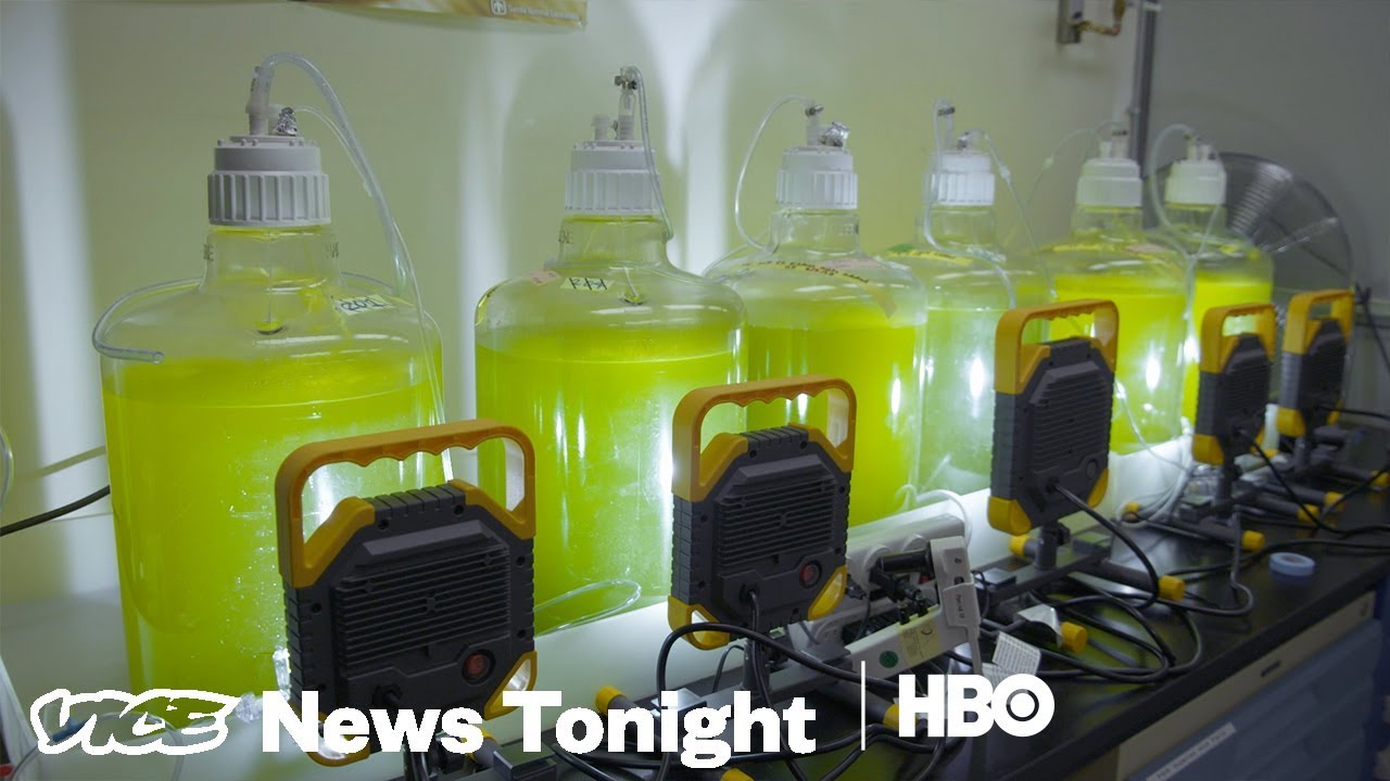 Algae Power & Blockchain Priest | VICE News Tonight Full Episode (HBO, March 21, 2018) π±