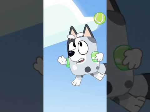 Who's got the greatest Christmas catch? | Bluey