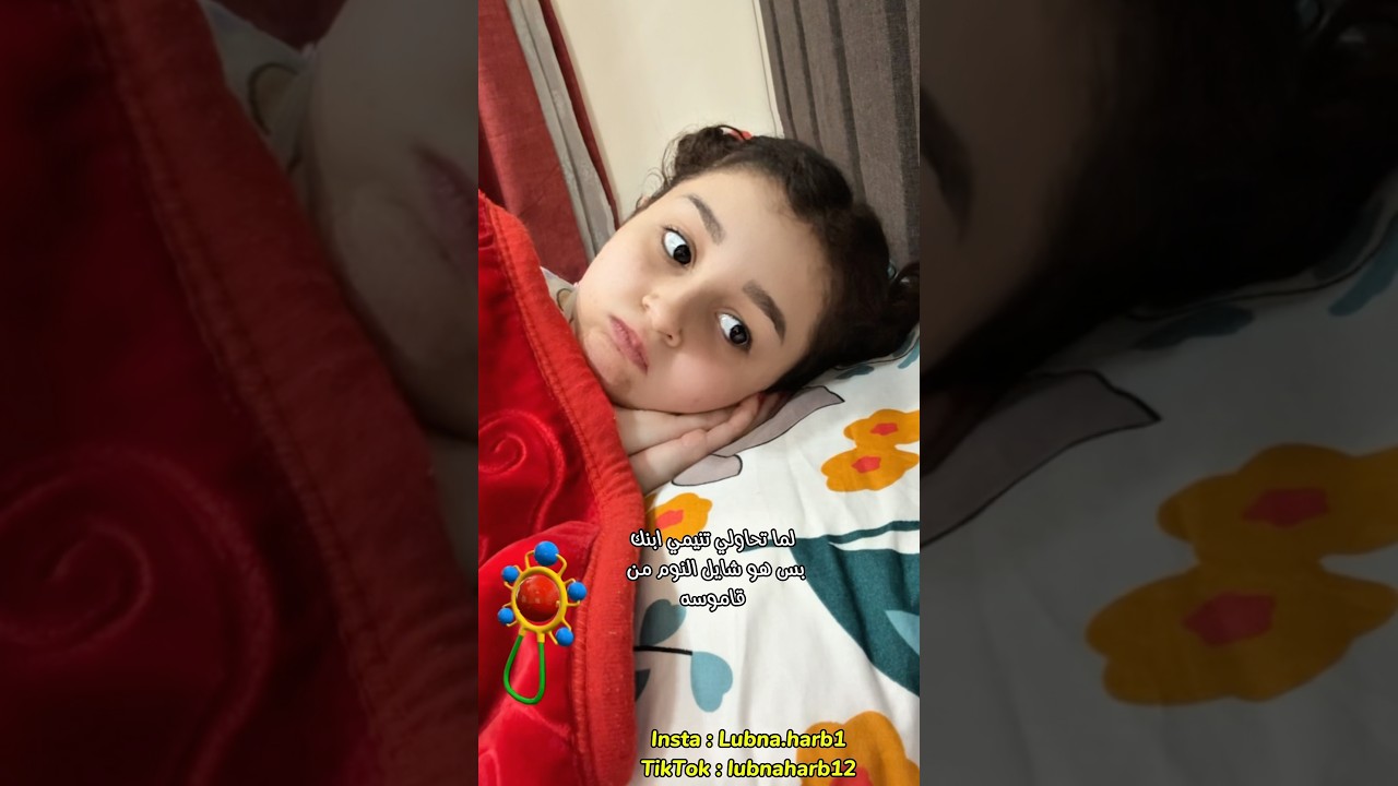 معجزات يومية وضحك لا يُفوت 😂