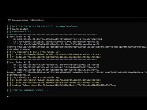 Bitcoin Private Key Recovery ECDSA | Pollard’s Kangaroo Secp256k1 | 2024 #bitcoin