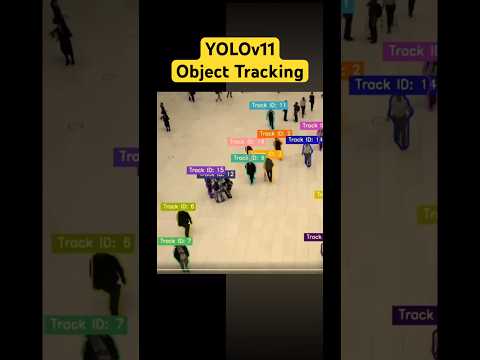 YOLO11 Object Tracking using Ultralytics