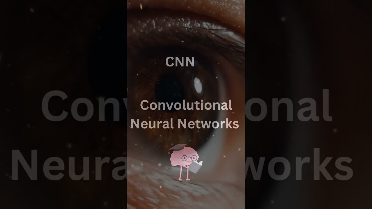 Understanding Convolutional Neural Networks in Deep Learning with TensorFlow and Python