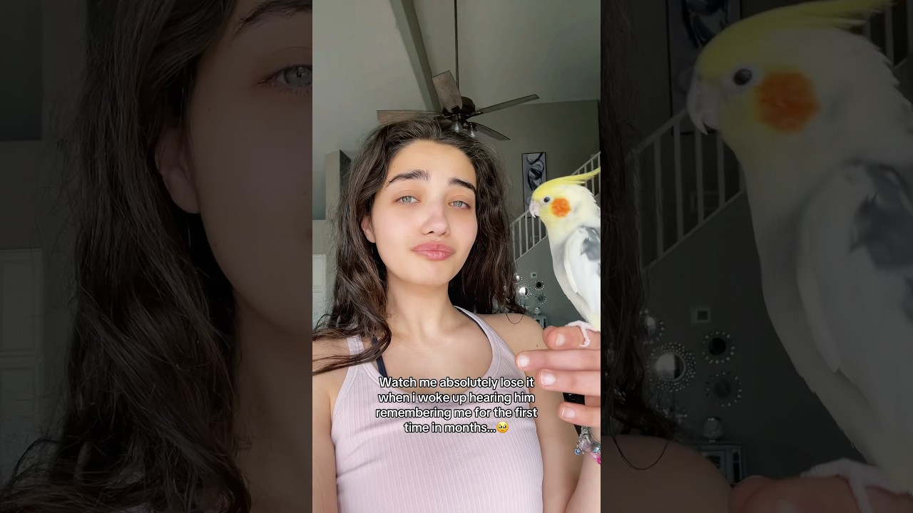 My Bird Finally Recognized Me 🥹