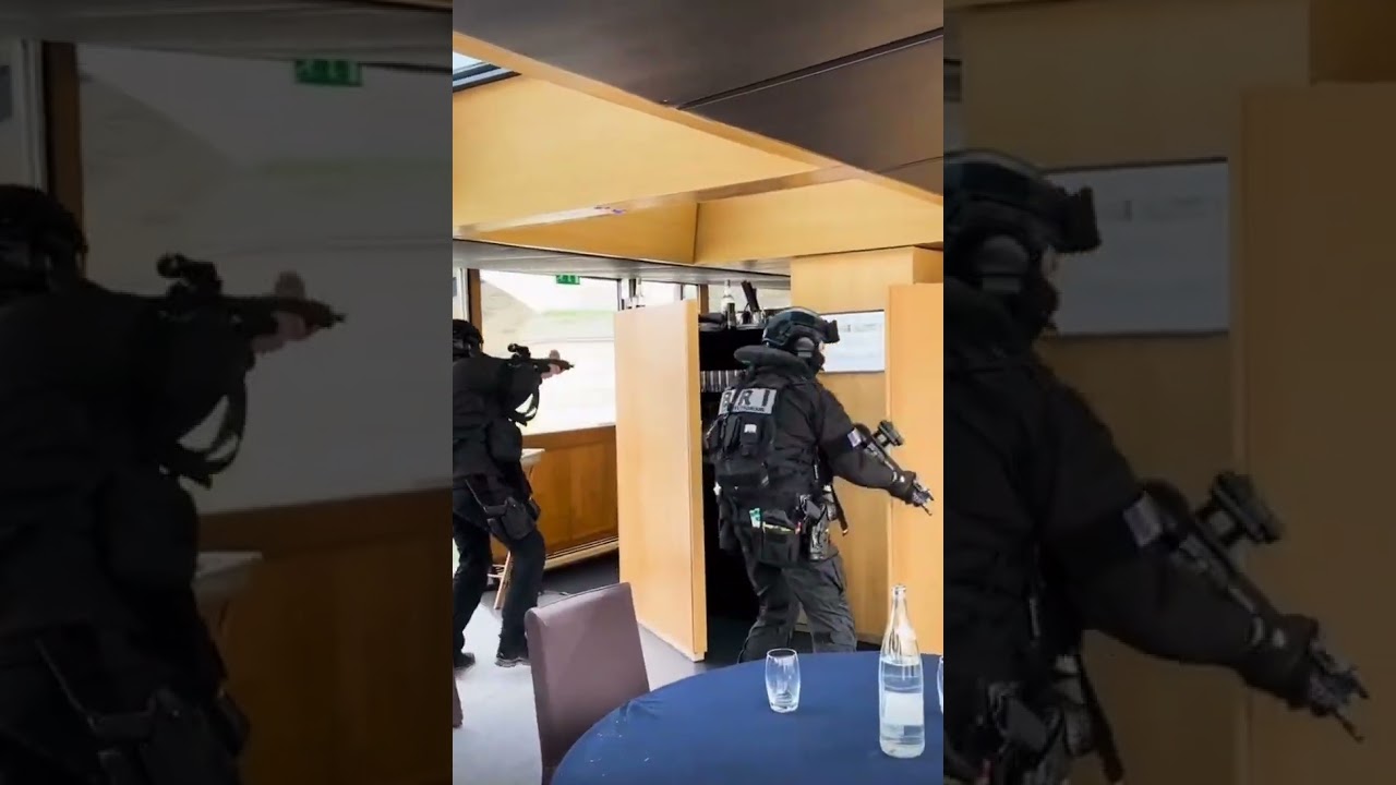 Entraînement en commun entre la BRI-PP et des commandos marine #emeutes #BRI #commando #police 🇨🇵
