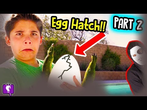 MYSTERY NEST Hatch! Game TRIXSTER Mystery Message Adventure by HobbyKidsTV