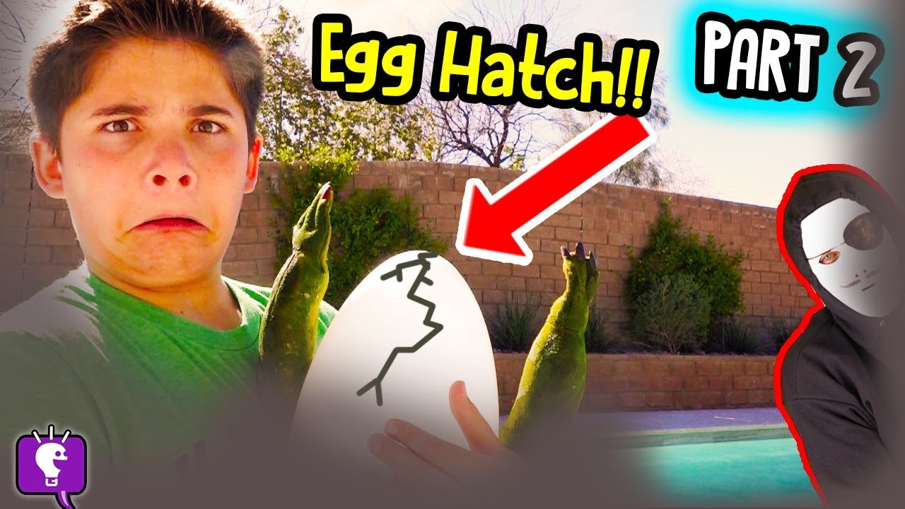 Mystery Nest Hatch! 🎉 Uncover the Secret Creature in HobbyKidsTV's Adventure