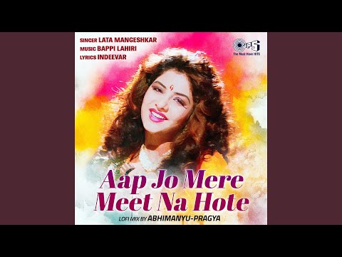 Aap Jo Mere Meet Na Hote (Lofi Mix)