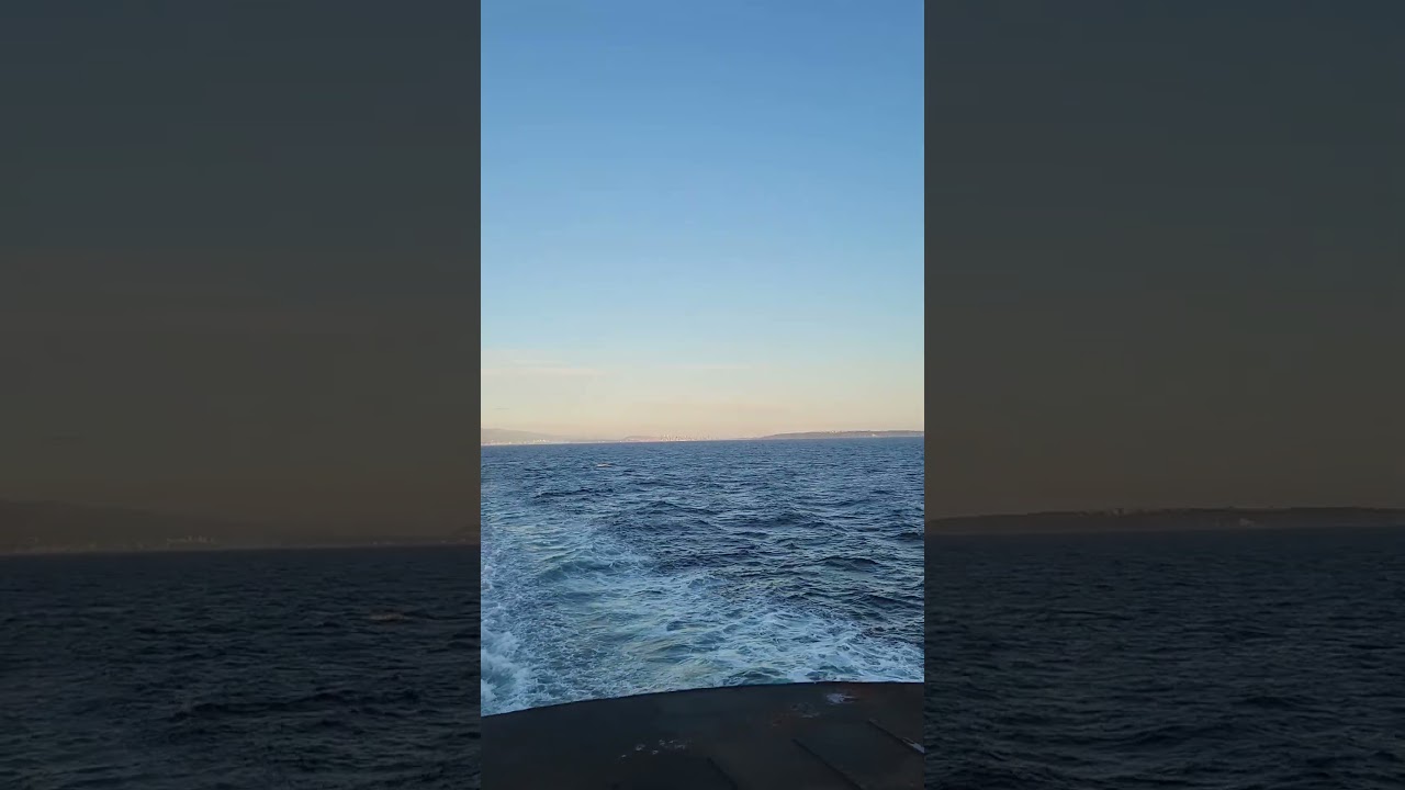 Journey to the Island 🌴
