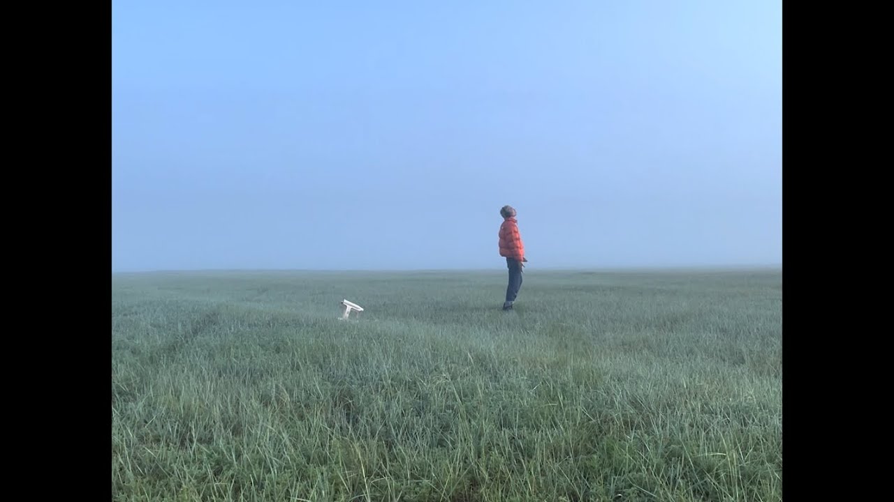 The Heart by Arman 🎶