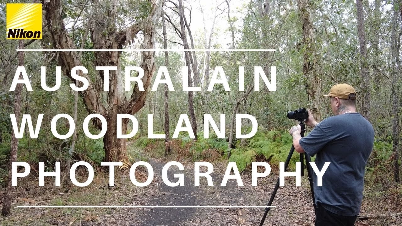 Australian Woodland Photography 🌿