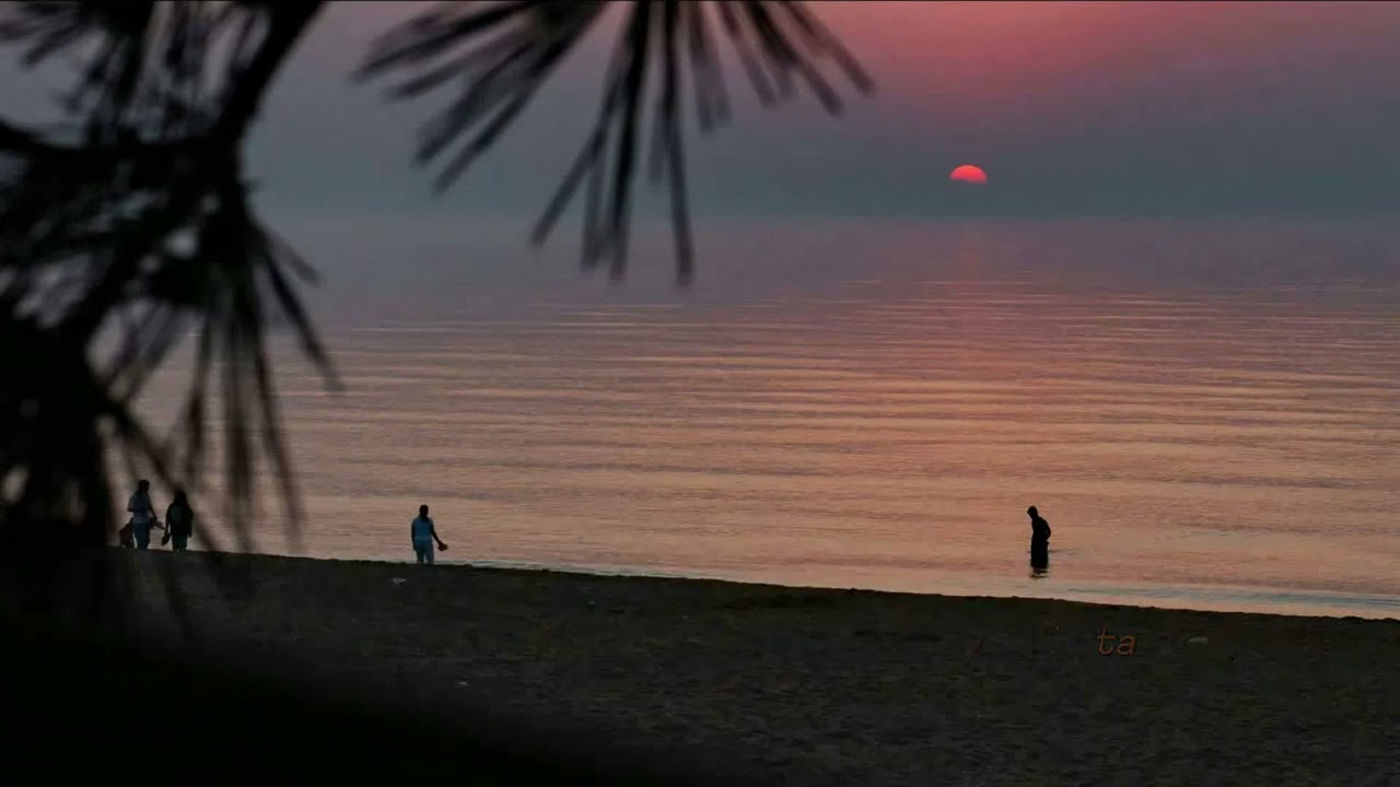 Glenn Frey - The One You Love (Lyrics + Vietsub) 🎶