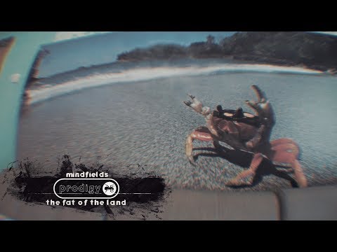 The Prodigy - Mindfields (Live in Russia)