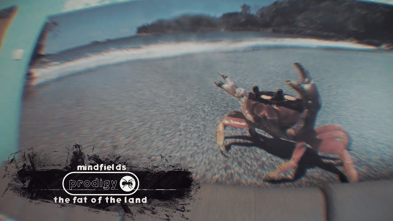 The Prodigy - Mindfields Live in Russia 🇷🇺