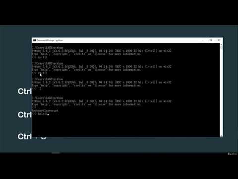 Python Shell (Explained)