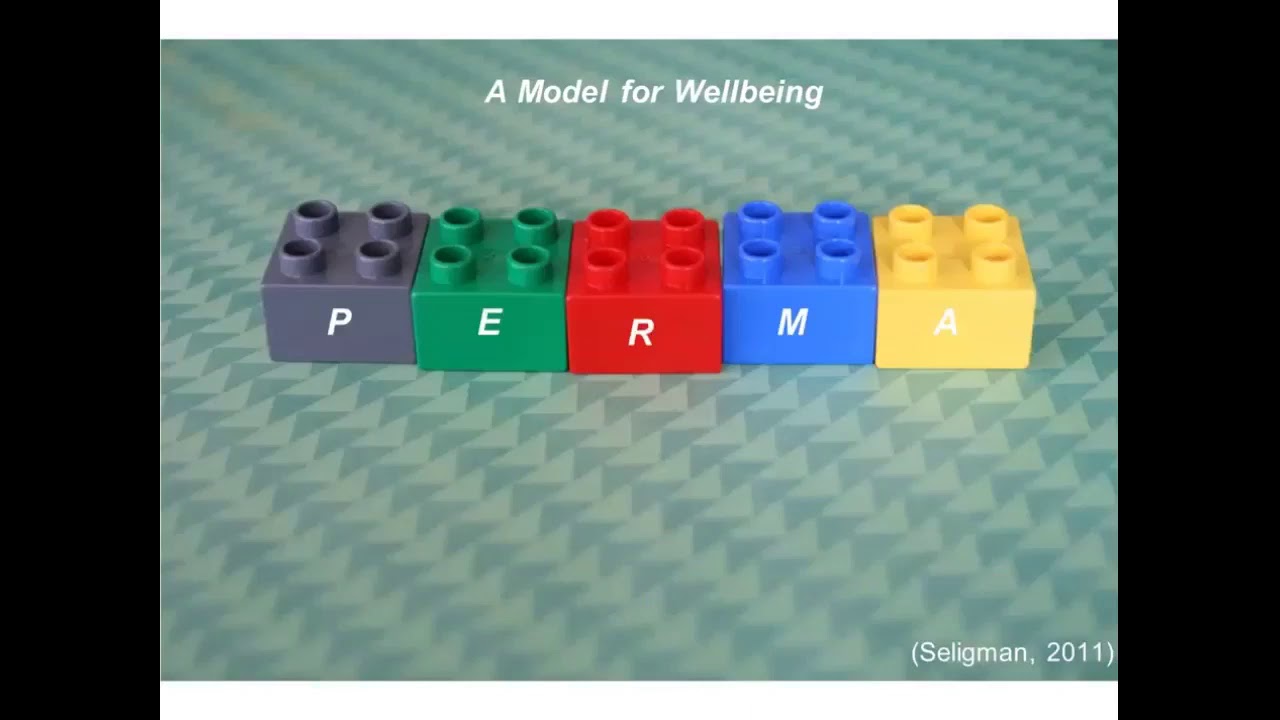 Tommy Flowers Network Thought Leadership Featuring Dr Hazel Harrison