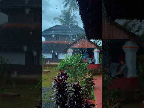 Rainy Days in Kerala #shortsvideo #monsoon #rain