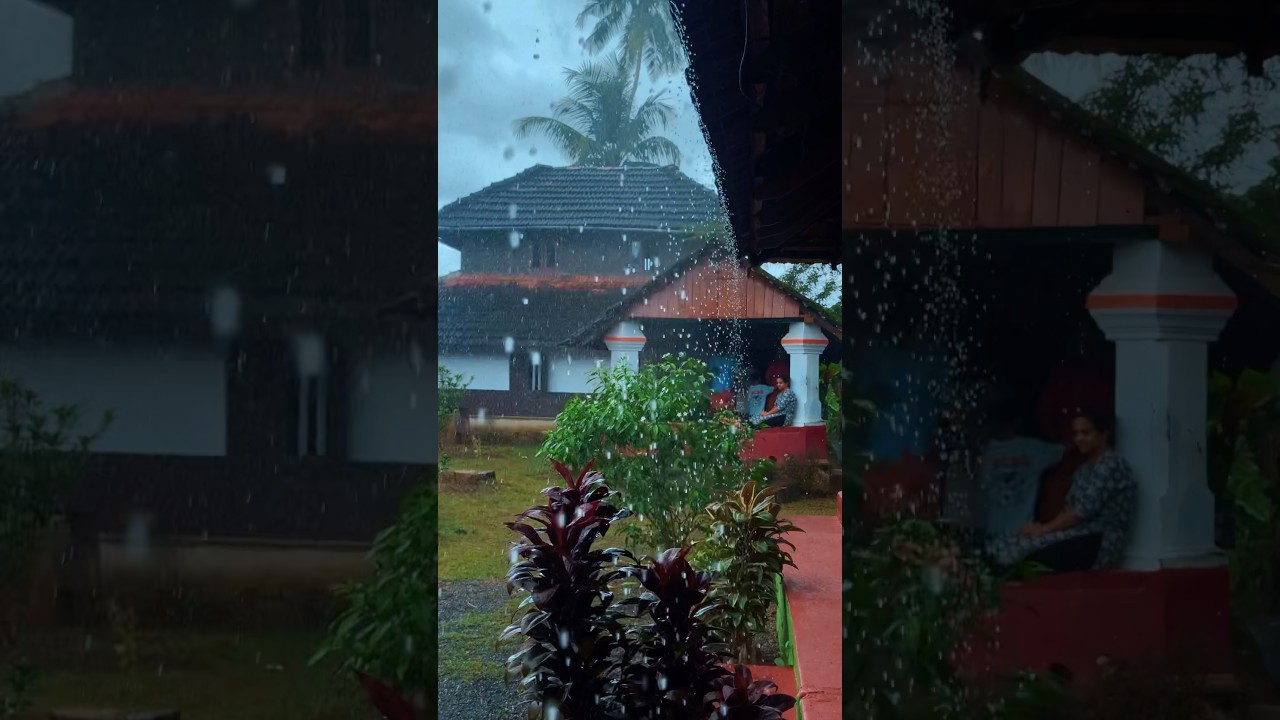 Rainy Days in Kerala: Monsoon Magic