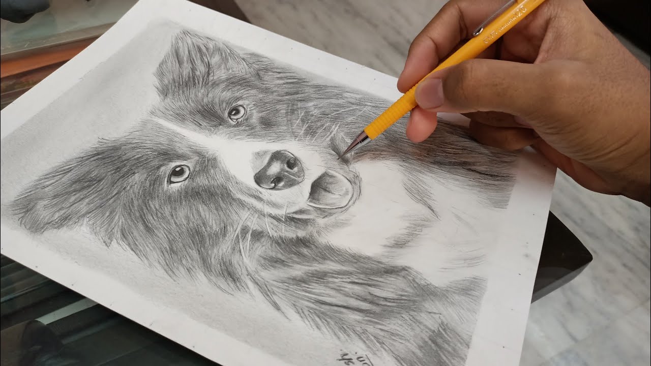 Realistic Dog Drawing with Graphite Pencils ✏️