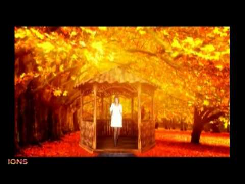 Manzura - Yengilaman (Uzbek Song) 🎶