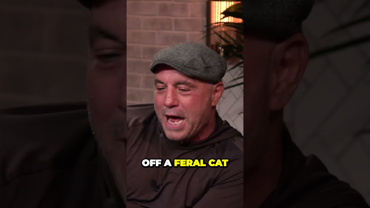 Fear Factor: Sharks, Orangutans & Bears with Joe Rogan🦈🧗‍♂️