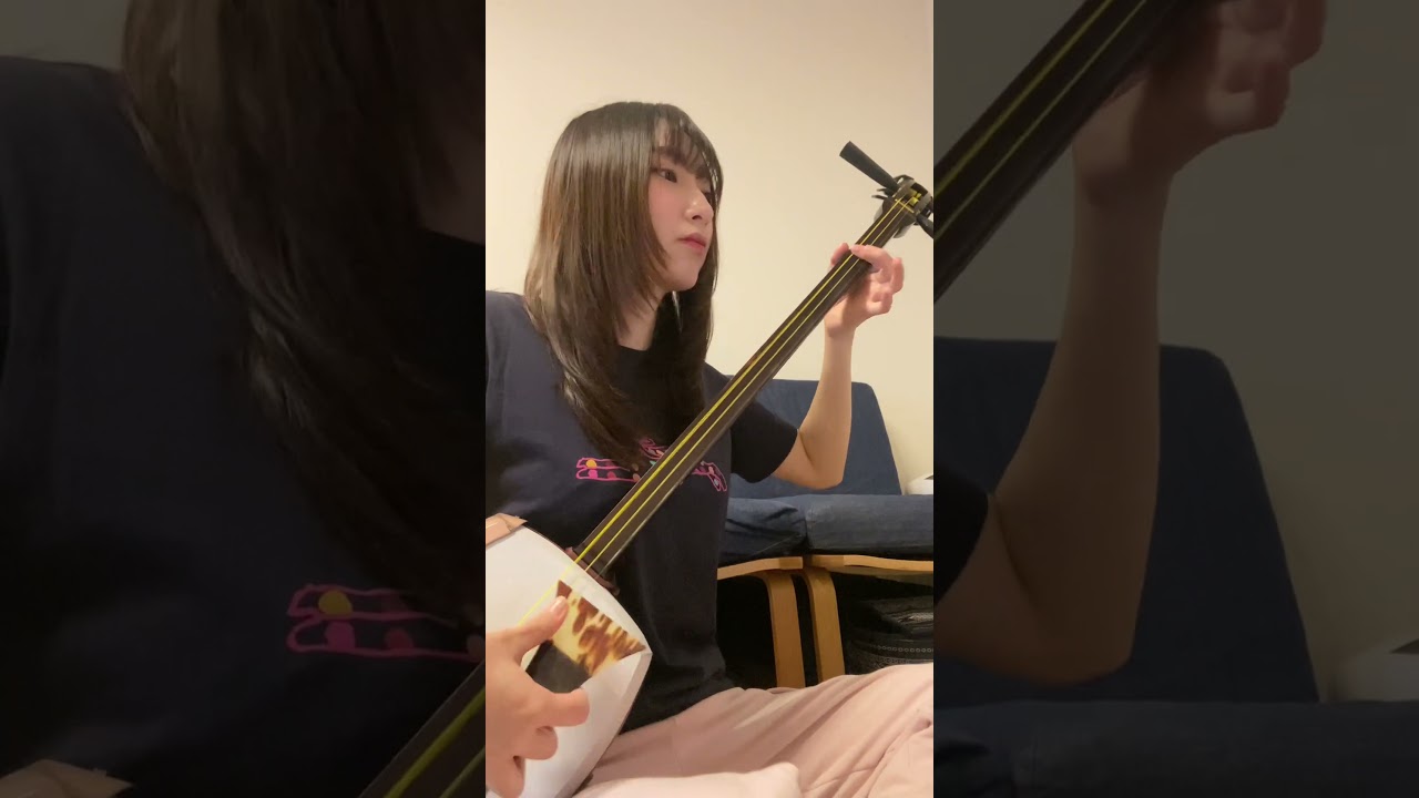 Sleep Now in the Fire Shamisen Cover 🎸