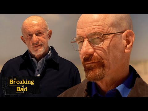Walter Demands To Be Respected | Say My Name | Breaking Bad