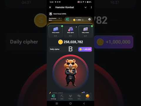 Today Cipher code Hamster kombat