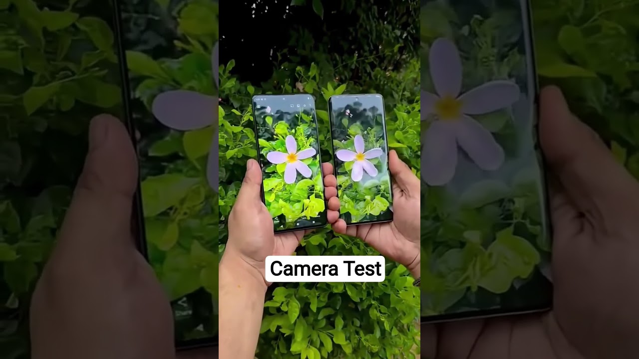 Moto Edge 60 Pro vs Realme 13 Pro Camera Test 📸