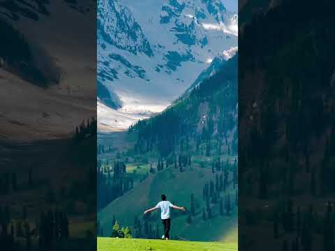 Parindey 🖤|| #shorts #simpleshorts #youtubeshorts #ytshorts #parindey #bpraak #love #status #song