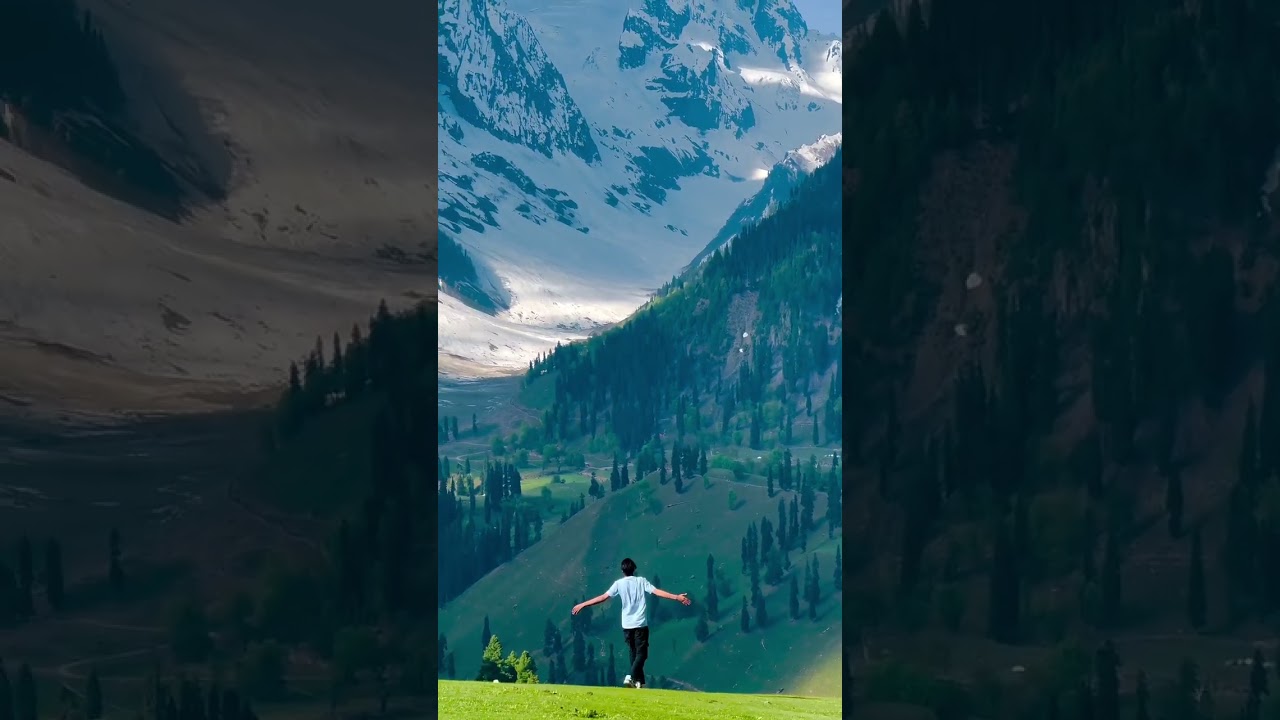 Parindey 🖤 - Heartfelt Short Song | B Praak | Love & Status #Shorts