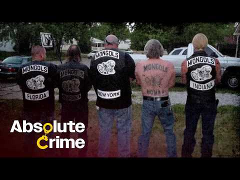 Absolute Crime