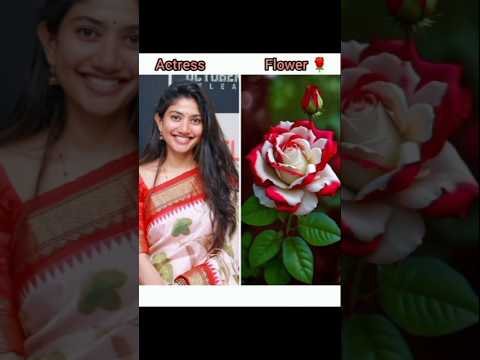 South actress Sai pallvi and flowers 🌹#southactresses #saipallavi#trending #trendingshorts#flowers