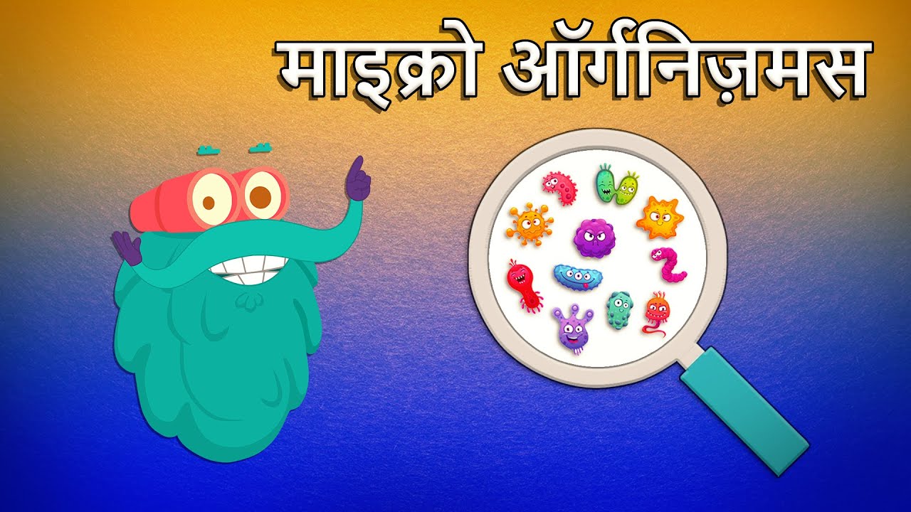 माइक्रोऑर्गनिज़मस: सूक्ष्मजीवों का परिचय 🦠