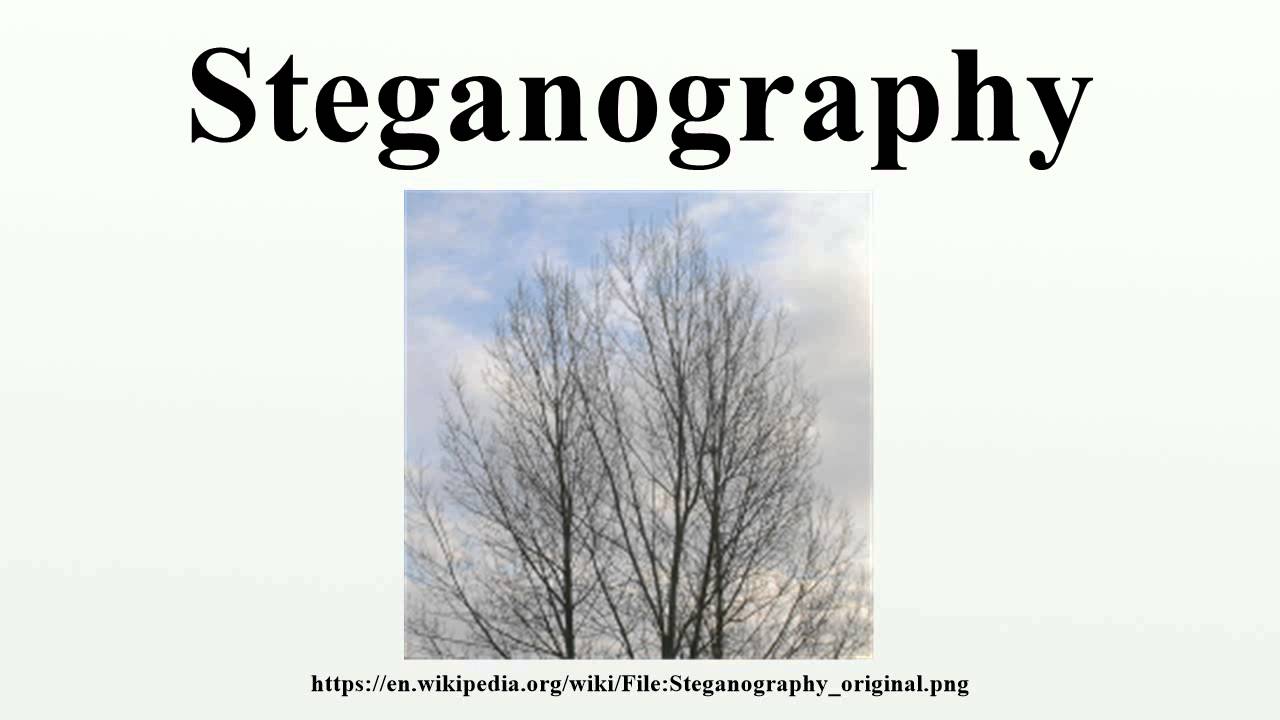 Understanding Steganography 🔍