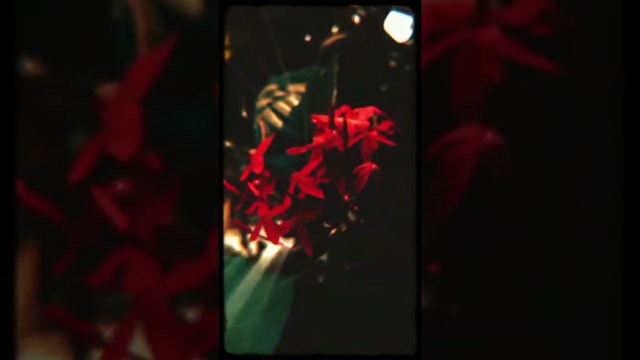 Qaafirana Vibe ❤️ #Onelike #AestheticStatus