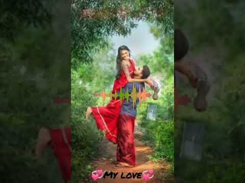 sun meri shezadi status #whatsappstatus #trendigstatus #tseries #oldisgold #editing #famousshorts💞❤️