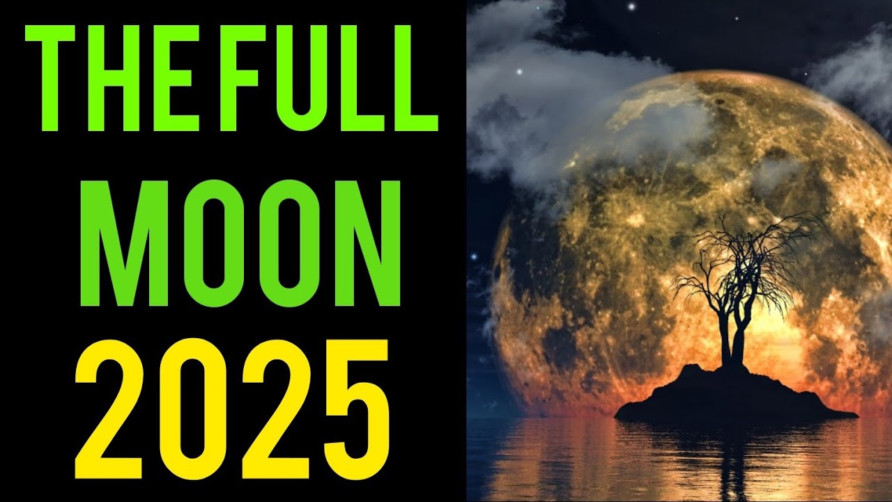 December Cold Moon 🌕: Year’s Final Spiritual Reflection