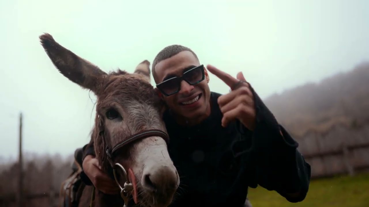 Gheboasa - Ce Faci In Miami (Miami Bici 2 OST) 🎶 | Stream & Download Now