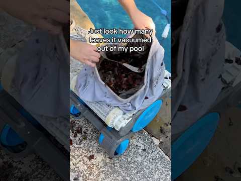 Clean like a Pro with the Dolphin Premier robotic pool cleaner #poolcleaning #poolrobot