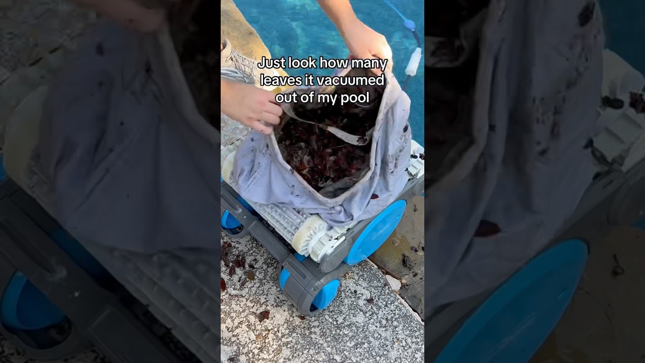 Achieve Sparkling Clean Pools with Dolphin Premier Robotic Cleaner ✨