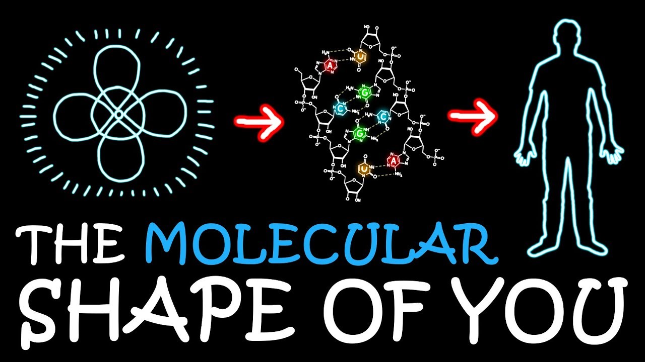 The Molecular Shape of You (Ed Sheeran Parody) 🎶