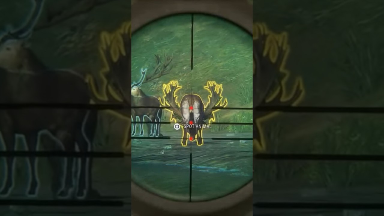 10 Fabled Texas Heart Shot 🎯 | The Hunter Call of the Wild