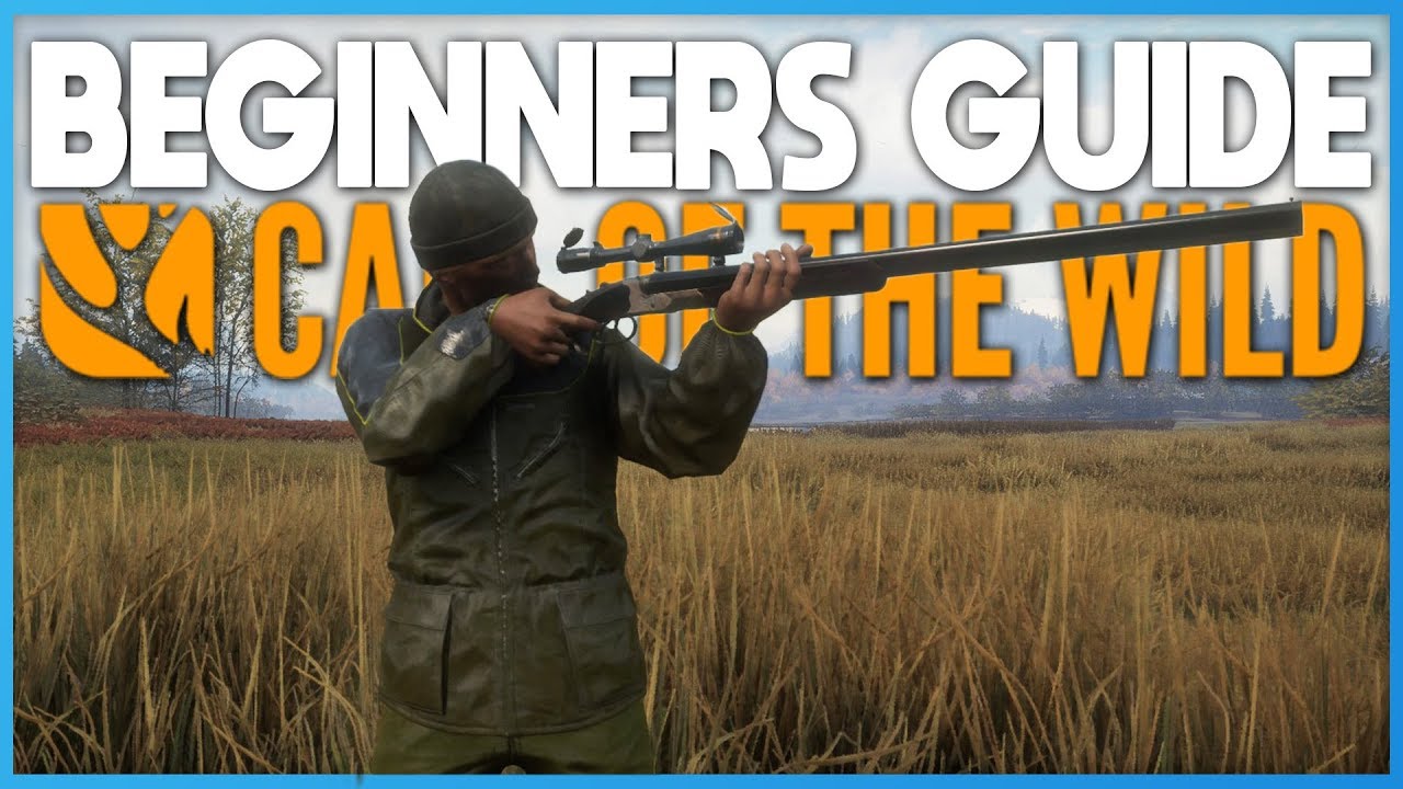 Call of the Wild 2023 Beginner's Guide 🎯